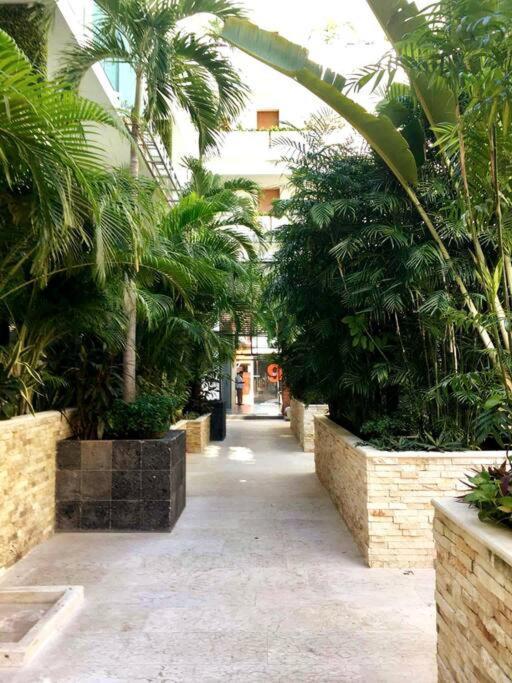 Your Exclusive Studio In The City - Top Amenities & Services For Free!! Playa del Carmen Exterior foto